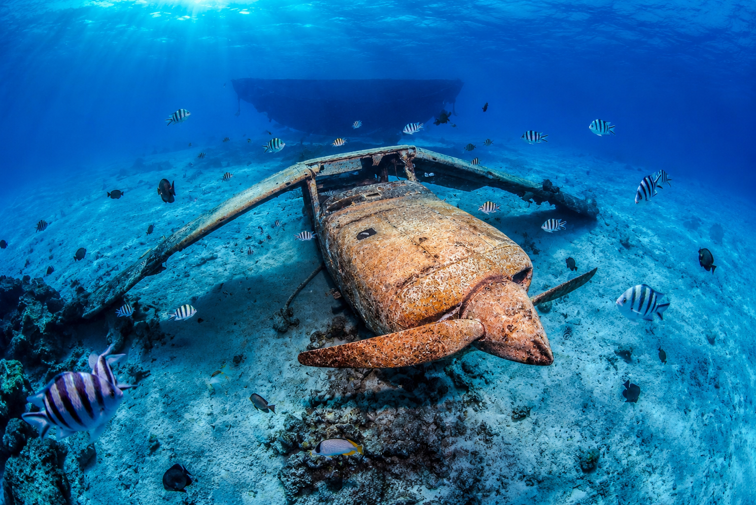 Épave sous-marine et poissons tropicaux Tahiti